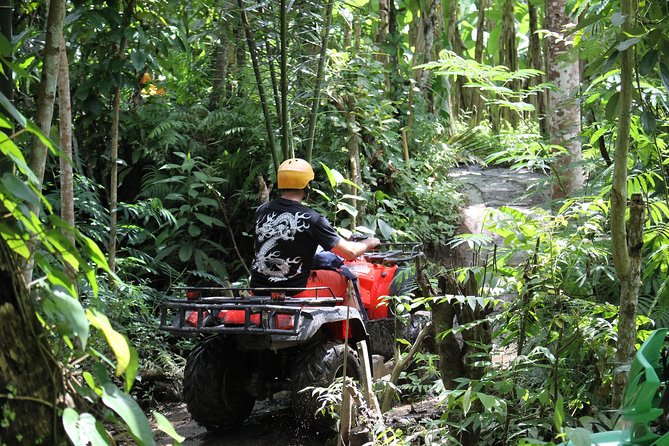1.5 Hours Bali ATV Quad Tour - Off-road tracks for the fun part