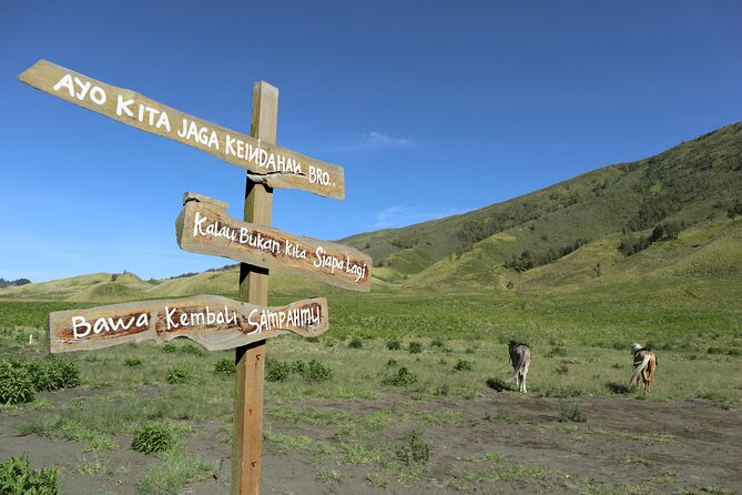 1 Day - Bromo Morning Tour start MALANG or SURABAYA // 7.30-16:00 - Penanjakan or Kingkong Hill for the first big view