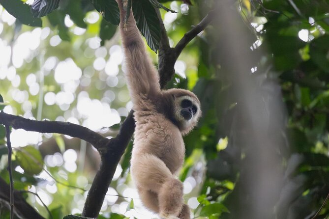 1 Day Ethical Jungle Trek in Bukit Lawang at Sumatra - Why This Bukit Lawang Trek Has More Purpose