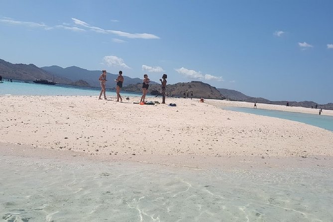1- day Komodo island Tour hopping around by Speed Boat - Why this Komodo day trip works