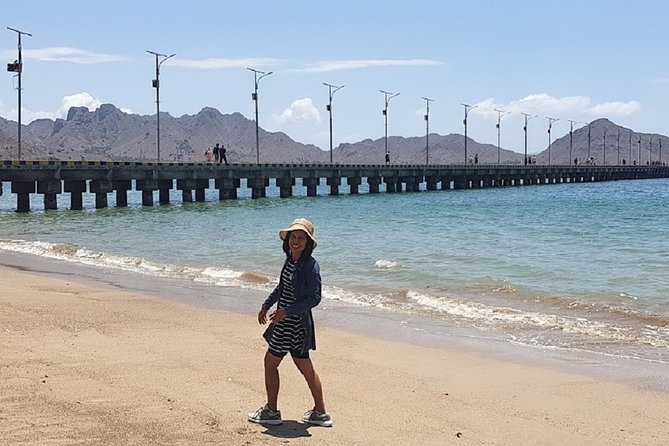 1- day Komodo island Tour hopping around by Speed Boat - Manta Point, where nature sets the schedule