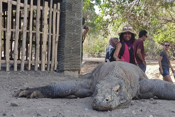 1- day Komodo island Tour hopping around by Speed Boat - Padar Island, the day’s big opening view