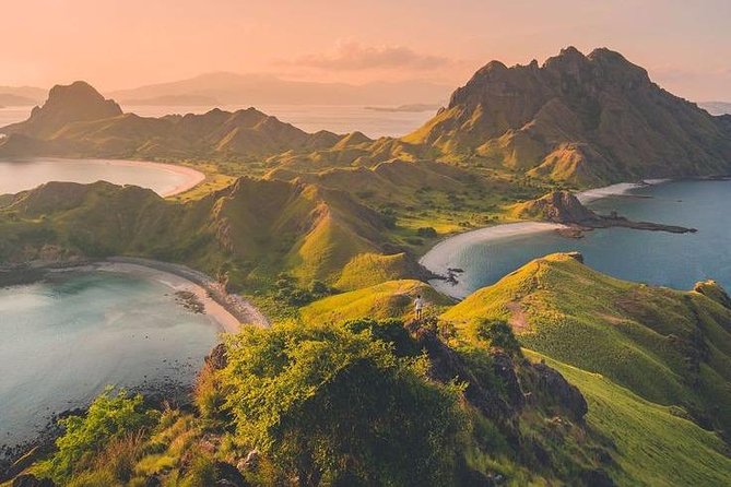 1 Day Komodo Trip by Private Fast Boat - Lunch, drinks, and the extra costs