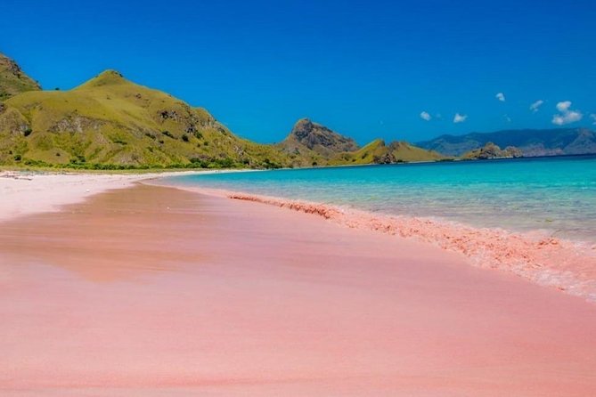 1 Day Komodo Trip by Private Fast Boat - Padar Island and its famous summit view