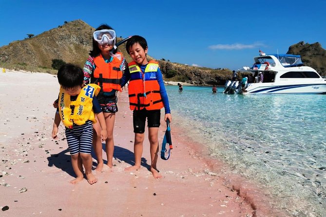 1 Day Komodo Trip By Share Fast Boat - Pink Beach: Swim, Snorkel, and Eat Lunch