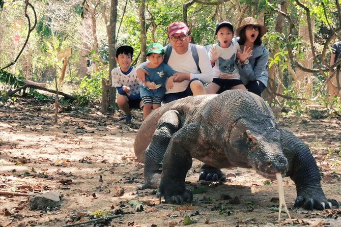 1 Day Komodo Trip By Share Fast Boat - The 5:30 a.m. Start From Labuan Bajo