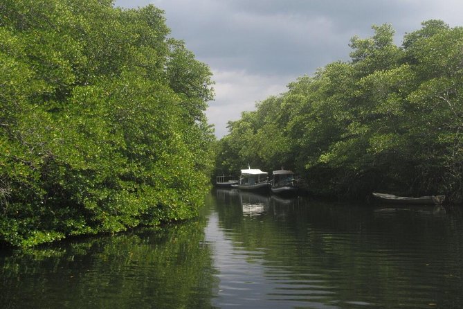1 Hour Mangrove Tour From Lembongan with Kayak, Paddle, or Boat - Reaching Mangrove Beach from your hotel
