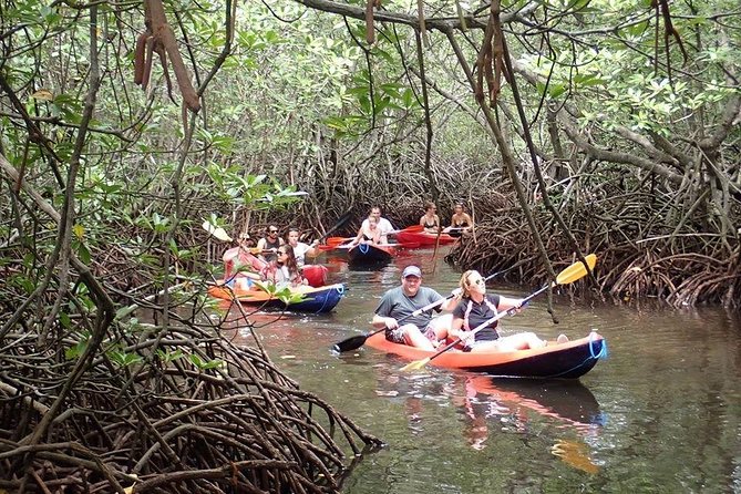 1 Hour Mangrove Tour From Lembongan with Kayak, Paddle, or Boat - Timing: a stated hour with some variation