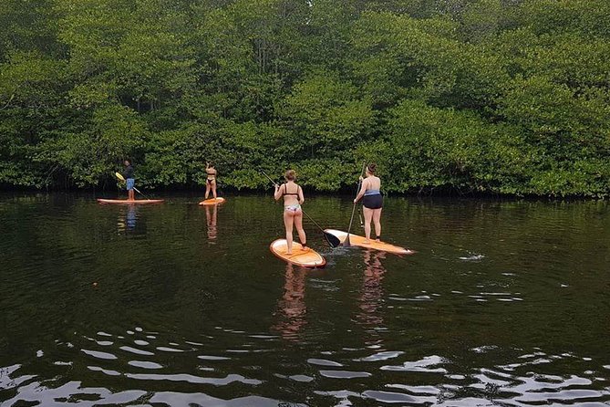 1 Hour Mangrove Tour From Lembongan with Kayak, Paddle, or Boat - Weather, comfort, and practical preparation