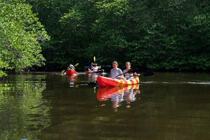 1 Hour Mangrove Tour From Lembongan with Kayak, Paddle, or Boat - Entering Nusa Lembongan’s mangrove channels