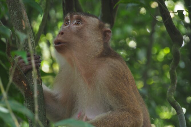 2-Day Jungle Trekking & Rafting in North Sumatra - Fitness, children, and what to pack