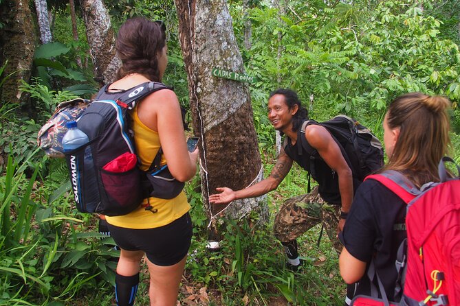 2-Day Jungle Trekking & Rafting in North Sumatra - Looking for orangutans in Gunung Leuser National Park
