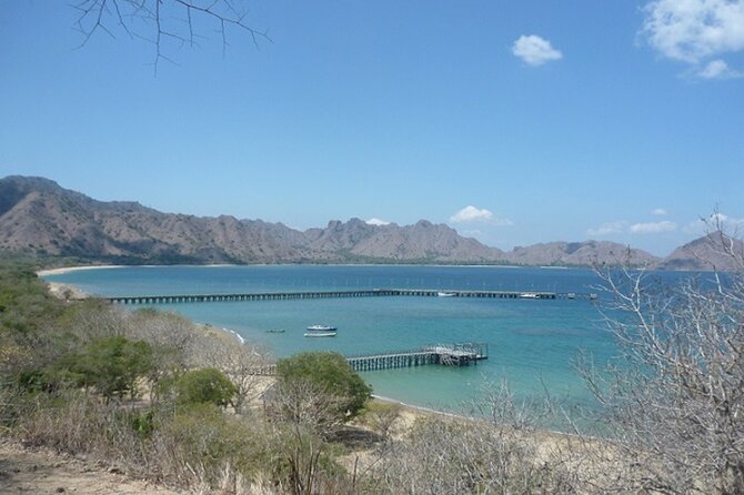 2-Day Komodo National Park and Rinca Island Wildlife Adventure from Bali - Komodo National Park adds context to the sighting