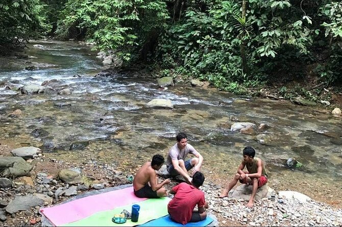 2 Days 1 Night Ethical Jungle Trekking - Day two: forest lessons and the return route