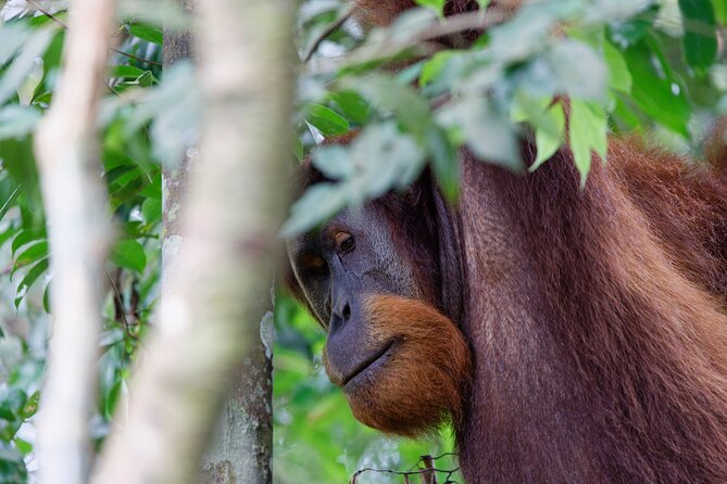 2 Days 1 Night Ethical Jungle Trekking - Is $207.79 good value?