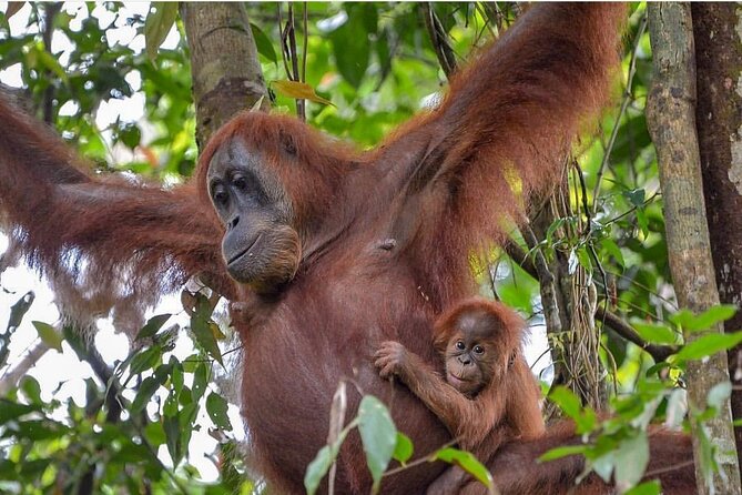 2 Days 1 Night Ethical Jungle Trekking - Who will enjoy this trek most?
