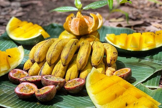 2 Days and 1 Night Ethical Jungle Trek - Why this trek works for an overnight jungle trip