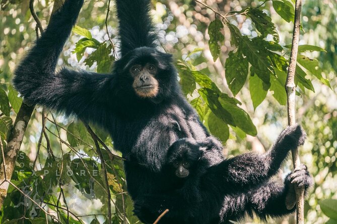 2 Days and 1 Night Ethical Jungle Trek - Wildlife sightings: what you might see