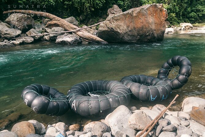 2 Days and 1 Night Ethical Jungle Trek - Is two days enough?