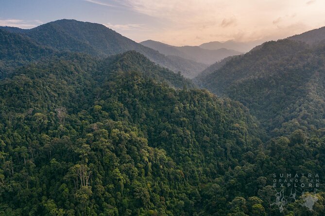 2 Days and 1 Night Ethical Jungle Trek - The campsite: swimming, dinner, and jungle sounds