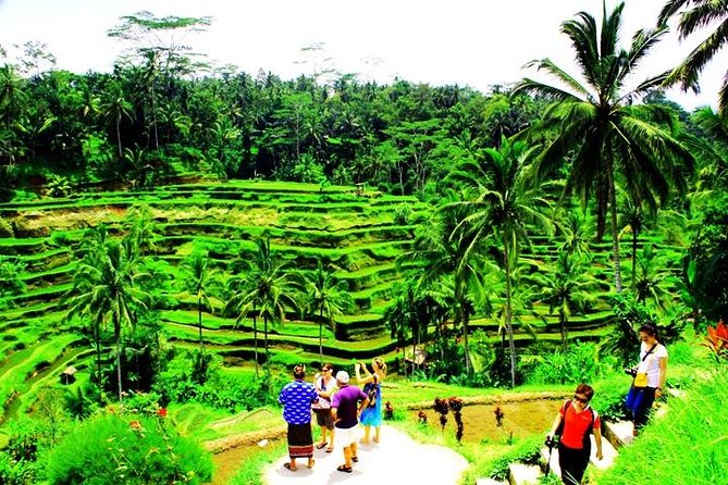 2 Days Best of Bali Famous Tour Packages - Coffee, Mount Batur, and Tegallalang rice terraces