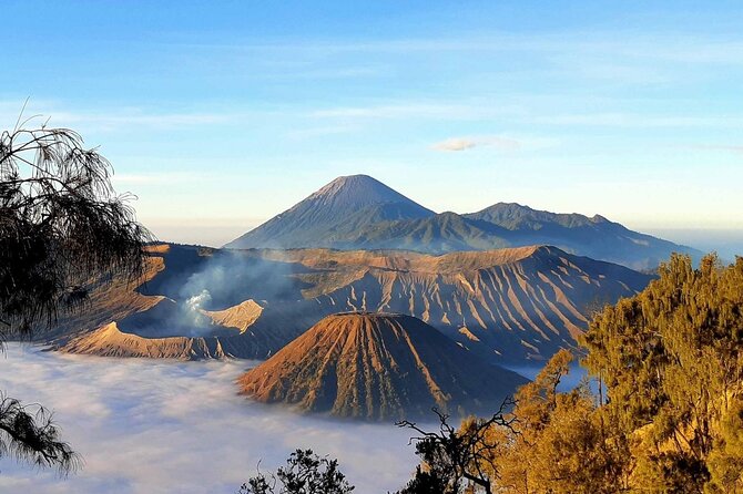 2 Days Private Tour Ijen and Bromo from Banyuwangi - The Move Toward Bromo and Your Overnight Stay