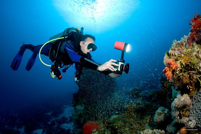 2 or 3 dives in Nusa Lembongan and Penida, for certified diver (in Lembongan) - What is included, and where costs can grow