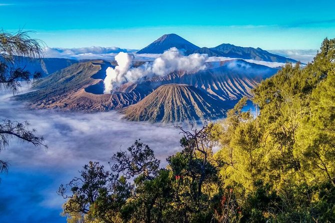 2Days - Bromo Sunrise Ijen Adventure via Malang - The value of a small group and private vehicle