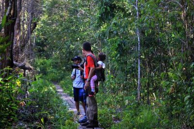 2Ns Orangutan Kelotok Tour in Tanjung Puting Kalimantan – Borneo