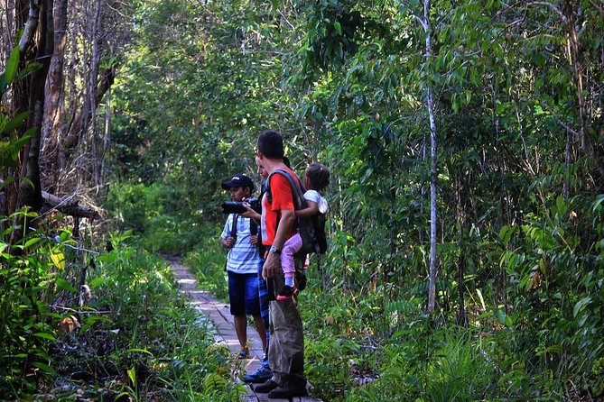 2Ns Orangutan Kelotok Tour in Tanjung Puting Kalimantan - Borneo - Day one from Pangkalan Bun to Tanjung Harapan