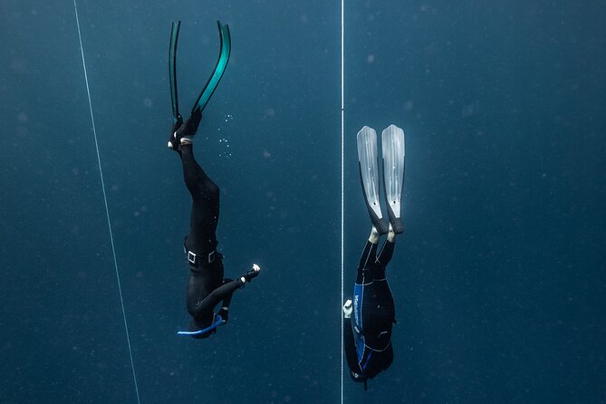 3-Day Freediving Level 1 Course - What the $450 price includes
