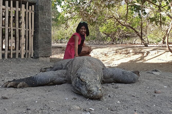 3-Day Komodo island Tour with or without Roundtrip Flight From Bali - Day 2: Padar before breakfast has properly arrived
