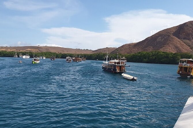 3-Day Komodo island Tour with or without Roundtrip Flight From Bali - Snorkeling stops: Manta Point, Pink Beach, and Kanawa