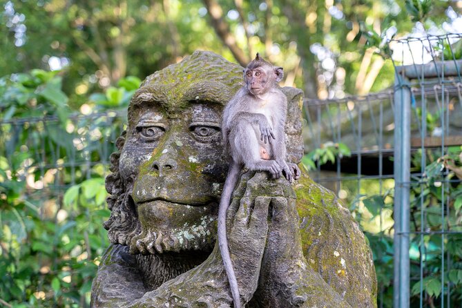 3 Days for the best of Ubud Private Tour - Day one: macaques, palaces, rice fields, and mountain views