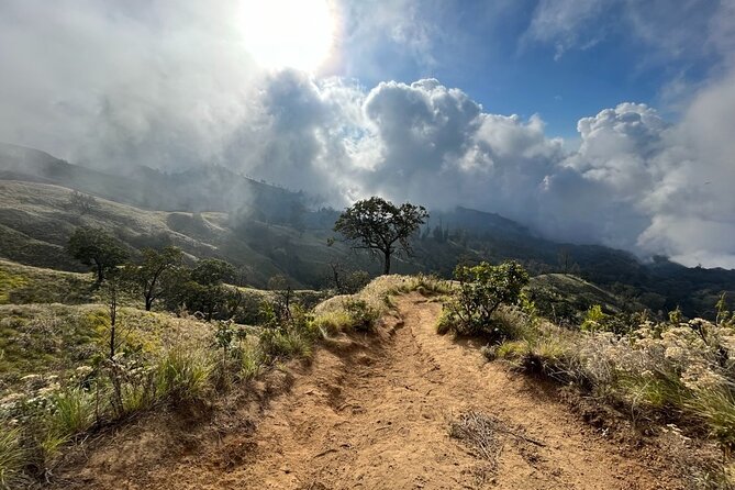 3 Days Mount Rinjani Complete Tour @All In One Price - The 2 a.m. summit push