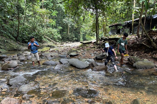 3 Days Orangutan Sumatra Jungle Trekking with Rafting - Who should book this trek?