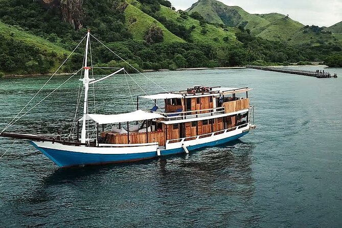 3D/2N Komodo Tour by Private Boat for 10 pax - Komodo Island: dragons, a guide, and a careful walk