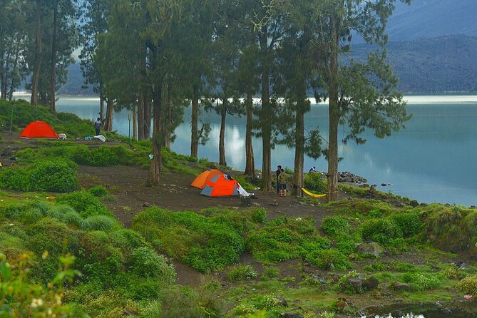 3D 2N Mount Rinjani Trekking Tour To Summit And Lake - Guides, porters, and the human side of the trek
