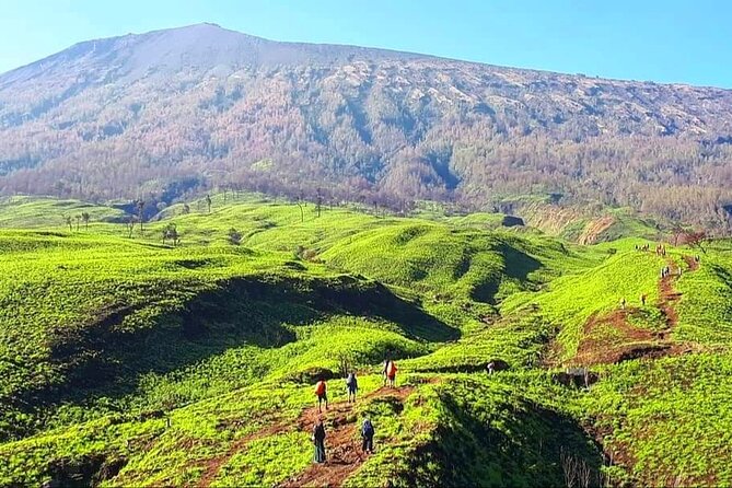 3D 2N Mount Rinjani Trekking Tour To Summit And Lake - Fitness, equipment, and who should book