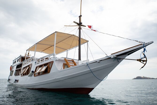3Days Komodo Tour By Private Boat for 4 pax - Day two: Padar’s climb and Komodo dragons