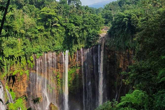 3Days - Tumpaksewu Bromo Ijen Adventure via Malang or Surabaya - Bondowoso and the road toward Ijen