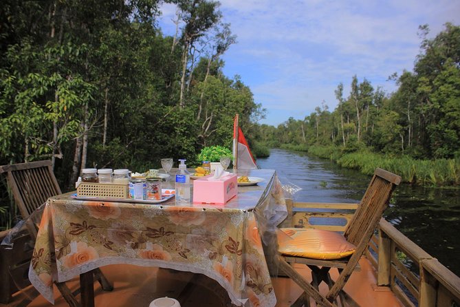 3ns Private Orangutan and Bornean Primates Kelotok Tour - Camp Leakey brings the orangutan story to life