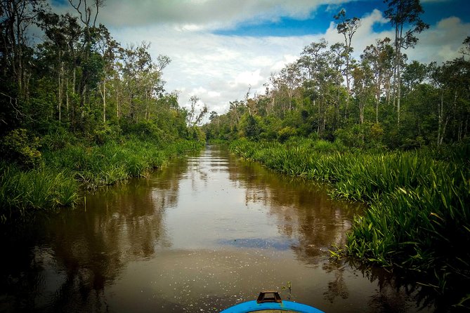 3ns Private Orangutan and Bornean Primates Kelotok Tour - Day 1: From Pangkalan Bun to the Sekonyer River