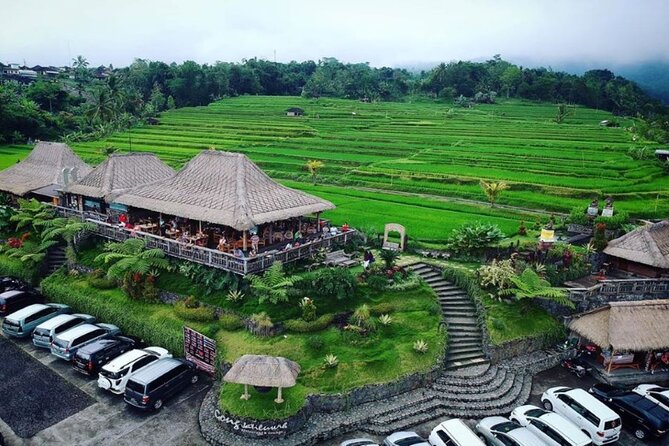 4-Hour Private Tour in Jatiluwih Terraces and Butterfly Park - Taking In Jatiluwih’s Terraced Rice Fields