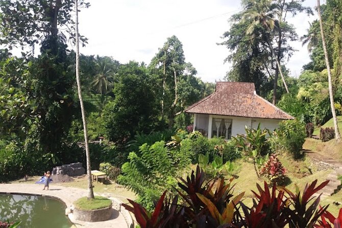 4-Hour Private Tour in Jatiluwih Terraces and Butterfly Park - Relaxing at Penatahan Hot Spring