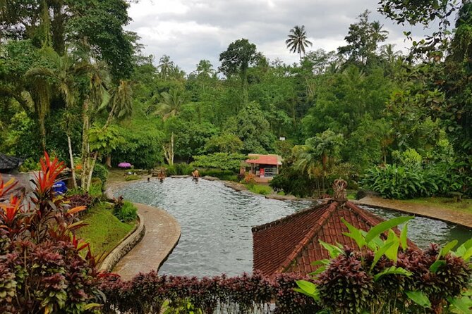 4-Hour Private Tour in Jatiluwih Terraces and Butterfly Park - Is $70 a Good Price?