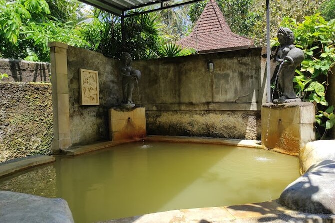 4-Hour Private Tour in Jatiluwih Terraces and Butterfly Park - Practical Advice Before You Go