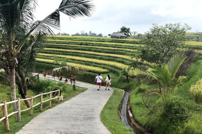 4-Hour Private Tour in Jatiluwih Terraces and Butterfly Park - Walking Among Butterflies at Bali Butterfly Park