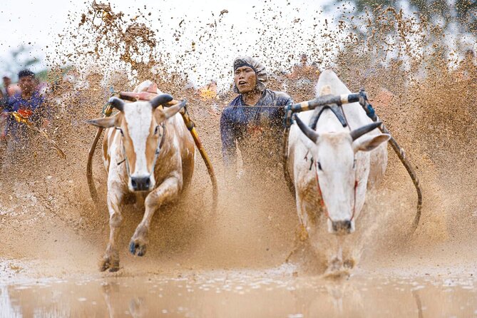 5-Days Private Tour in West Sumatera - Five things that make this West Sumatra tour worth considering