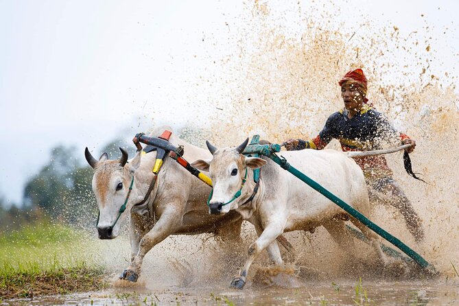 5-Days Private Tour in West Sumatera - The guide can shape the whole experience